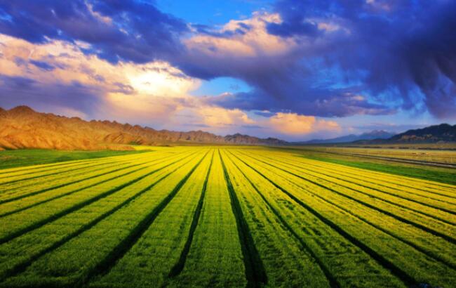 “五条路径”推动农业产业化加速发展