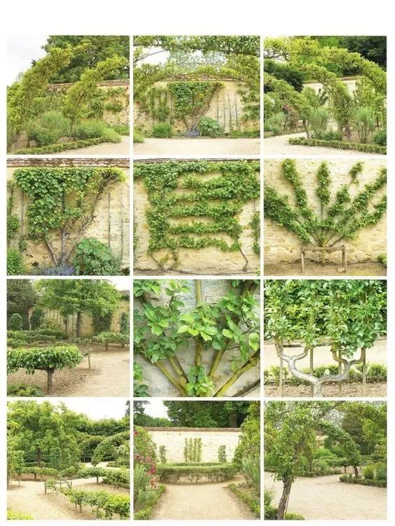庭院景观绿化方案|施工1